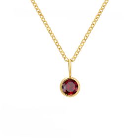 Fashion Personality Element Birthstone Necklace (Option: January)